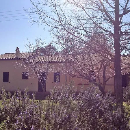 Rosaspina La Campigliola