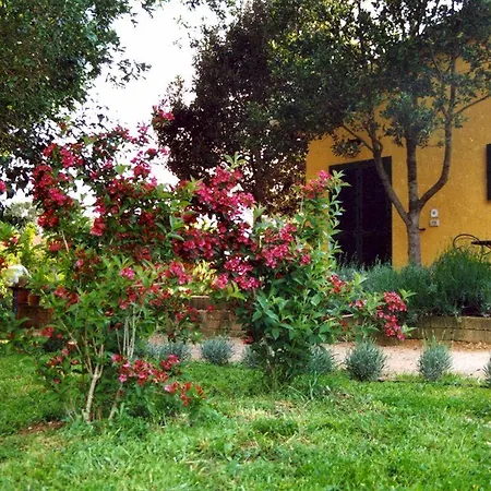 Rosaspina Country house *