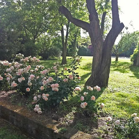 Country house Rosaspina La Campigliola